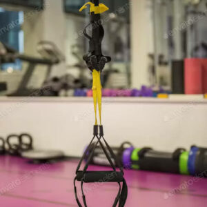 Fitness Straps